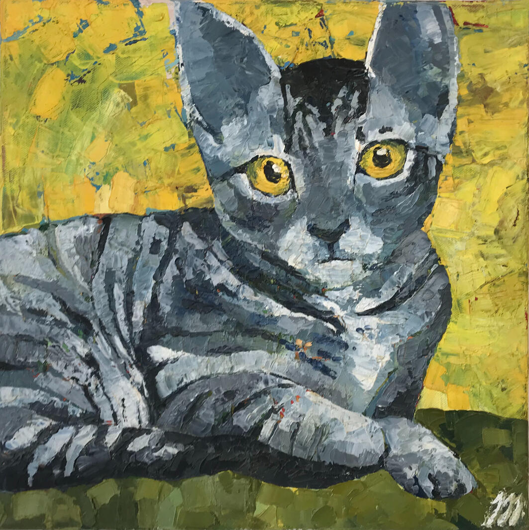 Kotě, 50x50cm, olej na plátně, 2015, soukromá sbírka